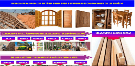 A Crise da madeira tradicional e a oportunidade no bambu: uma reflexão técnica, social e institucional, por Roberto Massaru Watanabe