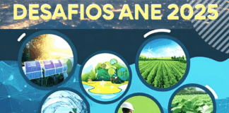 ANE é tema de encontro com Vahan Agopyan