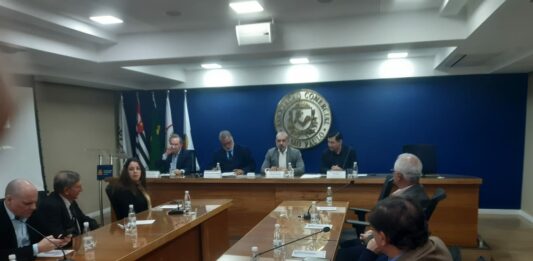 Rodrigo Ashiuchi fala sobre cidades sustentáveis na ACSP