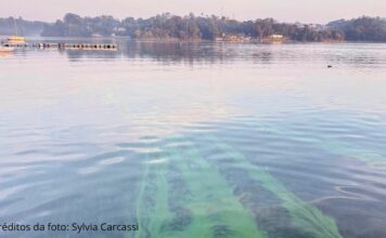 Sem Água Não Há Vida – Guarapiranga pede socorro!