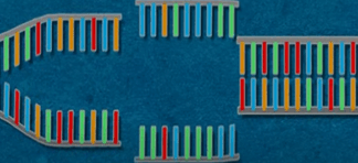 Por José Eduardo W de A Cavalcanti – A tecnologia crispr aplicada ao tratamento biológico de esgotos e efluentes e em bioremediação