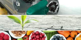 Etanol, Uso do Solo e Competição com Alimentos no Brasil