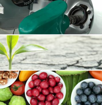 Etanol, Uso do Solo e Competição com Alimentos no Brasil