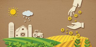 Soluções inteligentes frente às mudanças climáticas: tecnologia e inovação impulsionam a agricultura sustentável