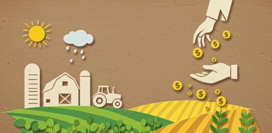 Soluções inteligentes frente às mudanças climáticas: tecnologia e inovação impulsionam a agricultura sustentável