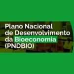 IE na Mídia: Implementar o Plano Nacional de Desenvolvimento da Bioeconomia é desafio que vem após a COP-30