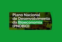 IE na Mídia: Implementar o Plano Nacional de Desenvolvimento da Bioeconomia é desafio que vem após a COP-30