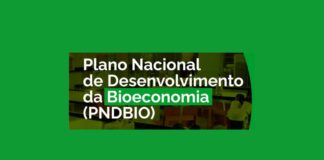 IE na Mídia: Implementar o Plano Nacional de Desenvolvimento da Bioeconomia é desafio que vem após a COP-30