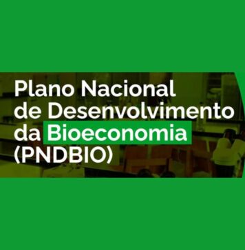 IE na Mídia: Implementar o Plano Nacional de Desenvolvimento da Bioeconomia é desafio que vem após a COP-30