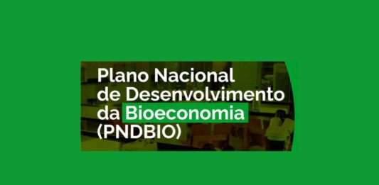 IE na Mídia: Implementar o Plano Nacional de Desenvolvimento da Bioeconomia é desafio que vem após a COP-30