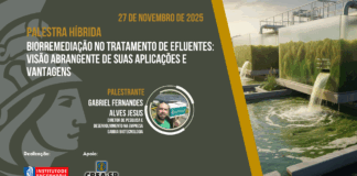 Biorremediação no tratamento de efluentes: Visão abrangente de suas aplicações e vantagens