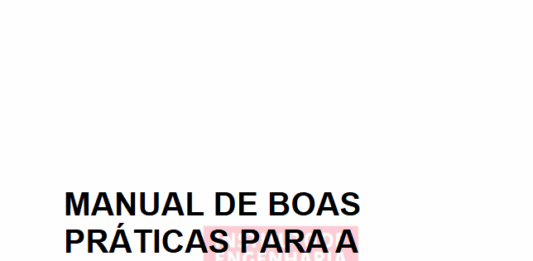 Confira o Manual de Boas Práticas para a Realização de Simulação Computacional na Engenharia de Incêndio