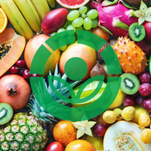 Ticket: PCIE 26/26 Irradiação de Alimentos 2026/05/25 - 2026/05/26