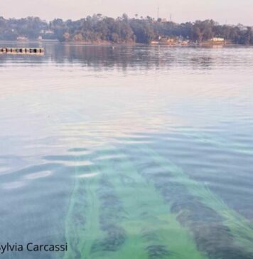 Opinião – Guarapiranga pede socorro