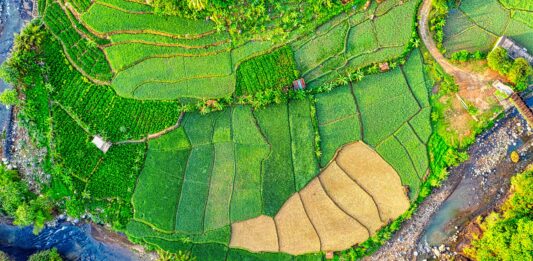 “Permacultura: cohabitar com a natureza” é tema de palestra em 29 de julho. Inscrições gratuitas