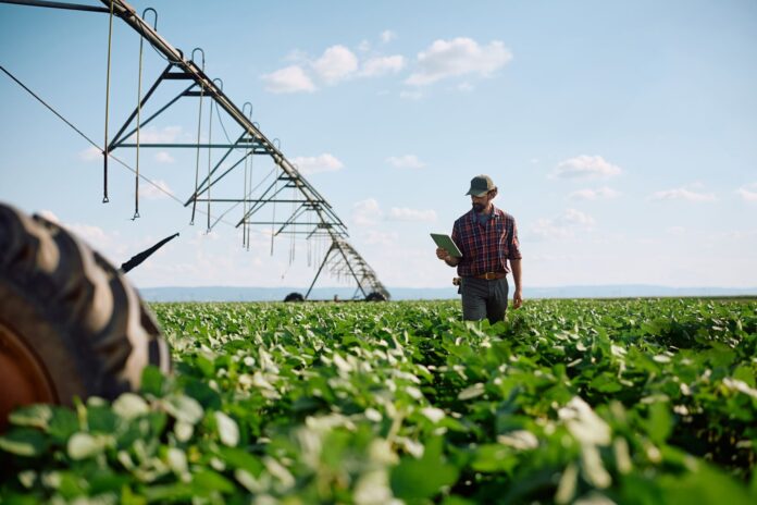 O papel do engenheiro agronomo na gestao