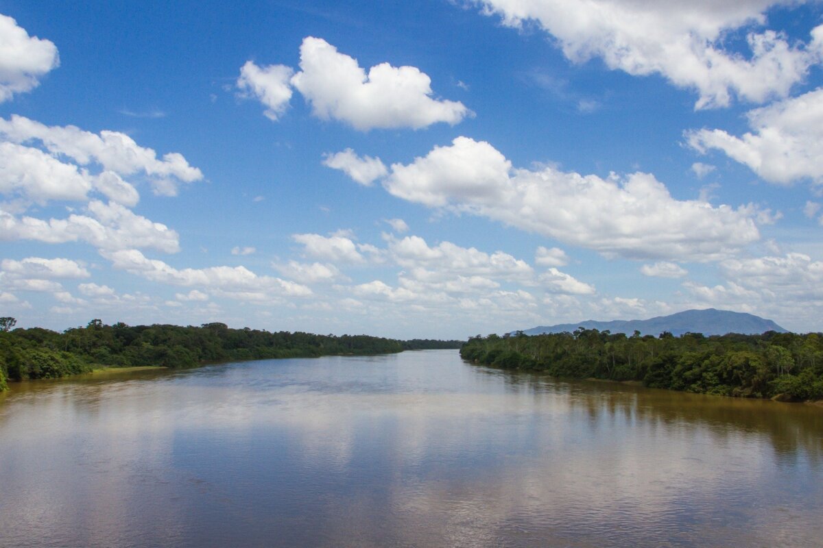 É hoje (11), 17h, a webinar "Expedições Amazônia 2021". Participe e concorra a bolsas para a expedição!