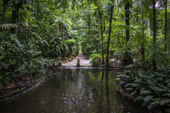 Encontro Aberto GT Amazônia e Bioeconomia / Dia 21/6 - 18h