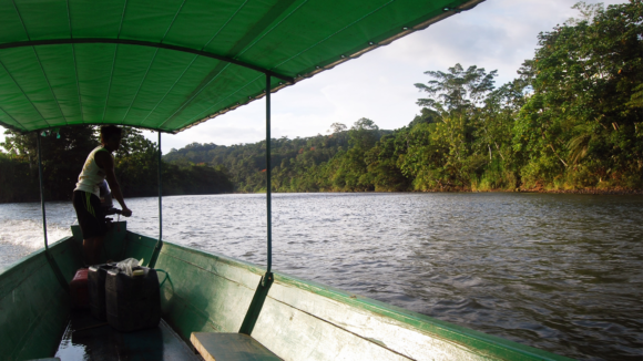Encontro aberto GT Amazônia e Bioeconomia - 30/8 - 18h