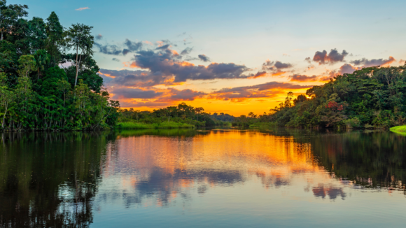 Apresentação do Pré-Estudo de Viabilidade para o Instituto de Tecnologia da Amazônia (AMIT) - 4/10 - 18h