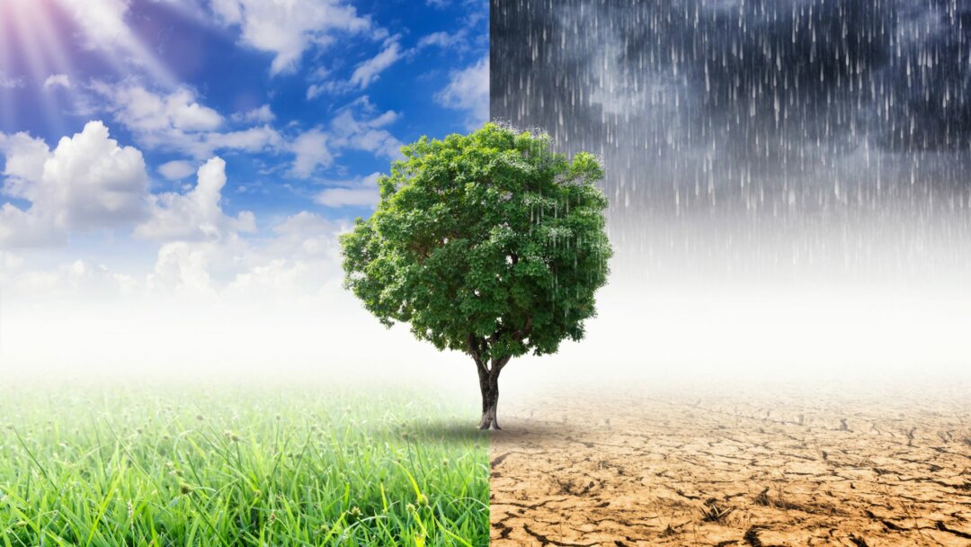 Palestra com o cientista, Carlos Nobre. "Mitigação e adaptação às mudanças climáticas"