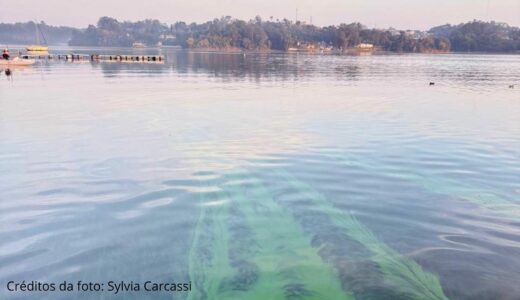 Sem água não há vida - Guarapiranga pede socorro!